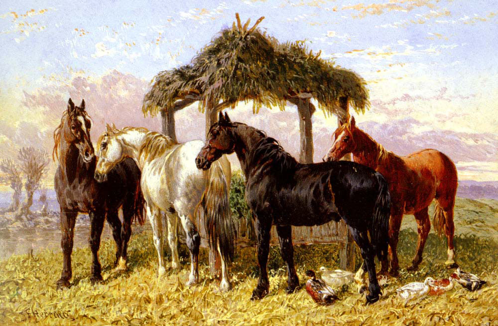 horses and ducks by a river